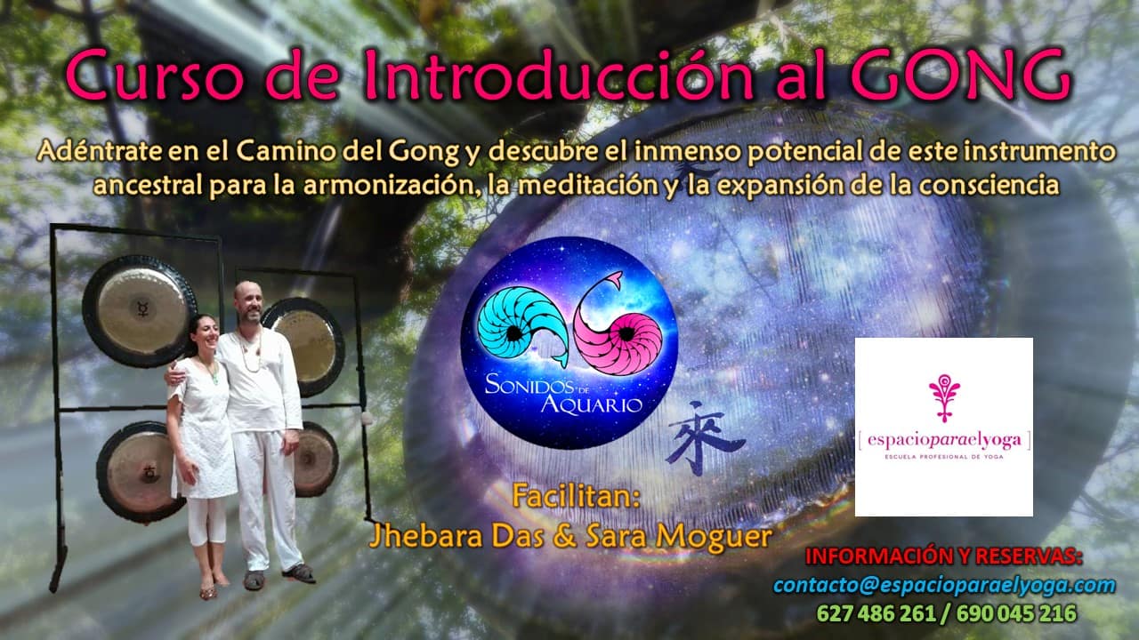 Cartel promocional del Curso de Introducción al Gong