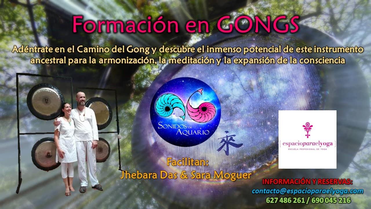 Imagen promocional de la Formación de Gongs de Sonidos de Aquario